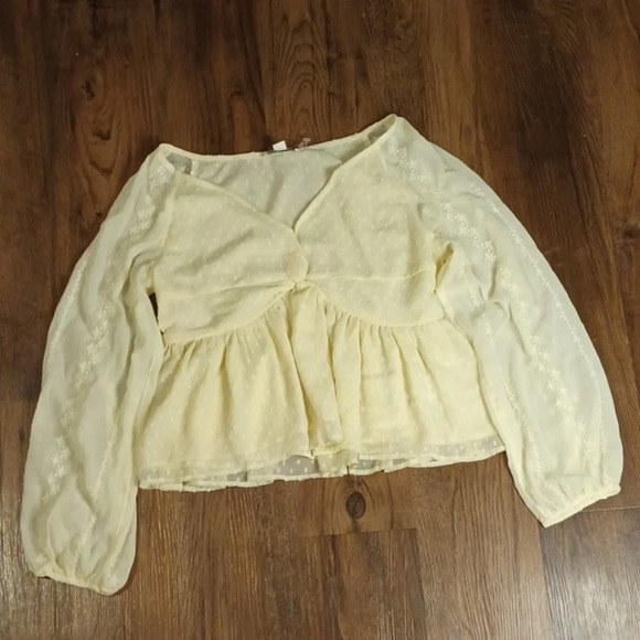 American Eagle Cream Sheer Flowy Ruffle Blouse MMM - Picture 1 of 7